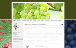 Gasthaus Traube Jenins